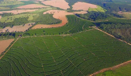 Fazenda à venda, AREA RURAL DE PATROCINIO - MG - PATROCINIO/MG