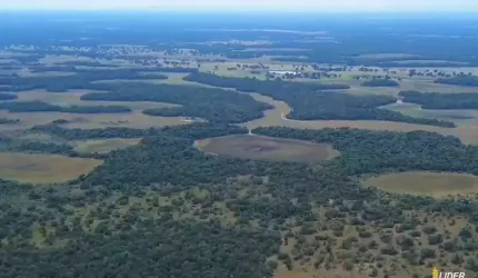 Fazenda à venda, AREA RURAL DA AQUIDAUANA-MS - Aquidauana/MS
