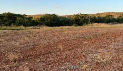 Fazenda à venda, Área Rural de Monte Carmelo - MONTE CARMELO/MG