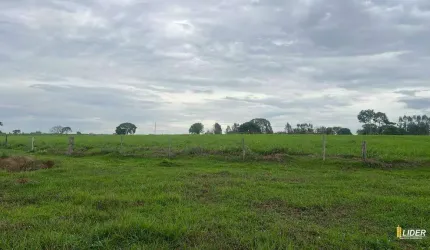 Fazenda à venda, Centro - Uberlândia/MG