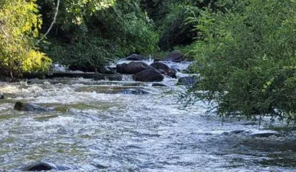 Fazenda à venda, AREA RURAL DE ARAGUARI - Araguari/MG