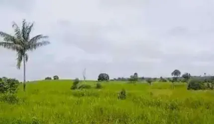 Fazenda à venda, AREA RURAL DE MARABA - PA - Marabá/PA