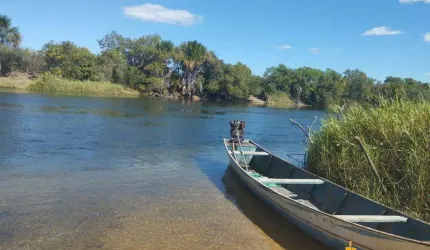 Fazenda à venda, AREA RURAL DE SANTA RITA DE CASSIA - BA - Santa Rita de Cássia/BA