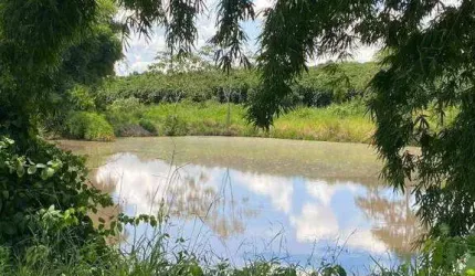 Fazenda à venda, Área Rural de Monte Carmelo - MONTE CARMELO/MG