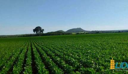 Fazenda à venda, Área Rural de Ipameri - IPAMERI/GO