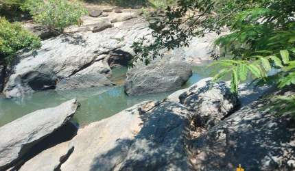 Fazenda à venda, AREA RURAL DE ARAGUARI - Araguari/MG