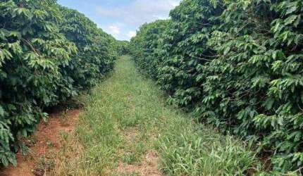 Fazenda à venda, AREA RURAL DE CARMO DO PARANAIBA - MG - CARMO DO PARANAIBA/MG