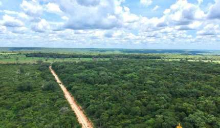Fazenda à venda, AREA RURAL DE SANTA RITA DE CASSIA - BA - Santa Rita de Cássia/BA