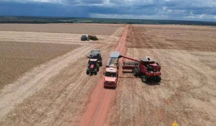 Fazenda à venda, AREA RURAL DE IBIA - MG - IBIÁ/MG