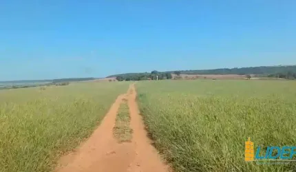 Excelente Fazenda dupla aptidão com 411,40 hectares à venda próxima a Uberlândia/MG
