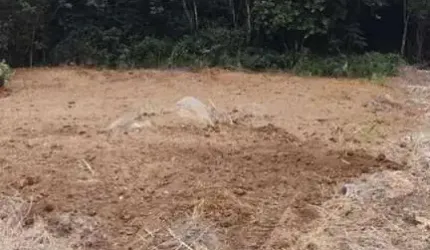 Terreno à venda na do Gerivá, 20, Ingleses do Rio Vermelho, Florianópolis, 490 m2 por R$ 245.000