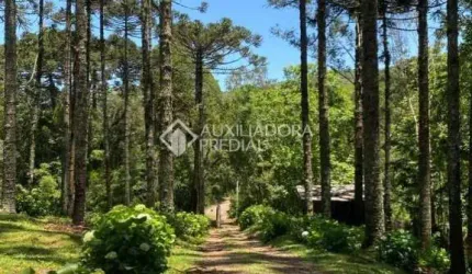 Fazenda à venda na Ipê, 2, Eletra, São Francisco de Paula, 201232 m2 por R$ 1.300.000