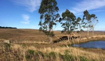Fazenda à venda na Getúlio Vargas, 937, 0001, Centro, Cambará do Sul, 15000 m2 por R$ 700.000