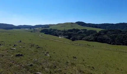 Fazenda à venda na Getúlio Vargas, 937, Centro, Cambará do Sul, 1760000 m2 por R$ 5.200.000