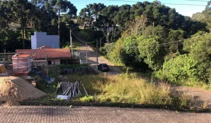 Terreno à venda na Das Camélias, 100010, Centro, São Francisco de Paula, 250 m2 por R$ 150.000