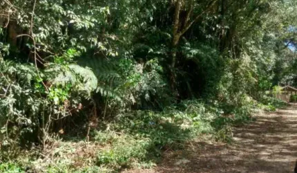 Terreno à venda na São Gotardo, 1006, Centro, São Francisco de Paula, 4560 m2 por R$ 1.280.000