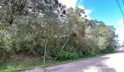 Terreno à venda na Alziro Torres Filho, 1001, Centro, São Francisco de Paula, 3736 m2 por R$ 1.800.000