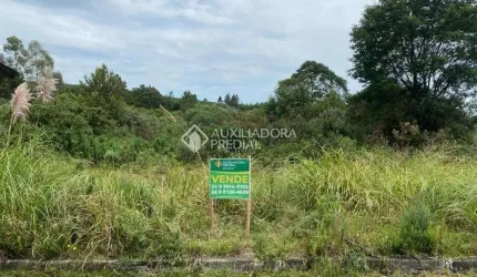 Terreno à venda na Giselda Pinto Dos Santos, 7, Cipó, São Francisco de Paula, 360 m2 por R$ 140.000