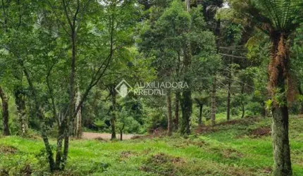 Terreno à venda na Do Pessegueiro, 1, Centro, São Francisco de Paula, 3400 m2 por R$ 180.000