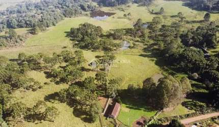 Fazenda à venda na São Francisco, 1, Centro, São Francisco de Paula, 370000 m2 por R$ 1.750.000