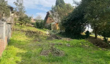 Terreno à venda na Gilberto De Zorzi, 13, Residencial São Miguel, São Francisco de Paula, 350 m2 por R$ 150.000