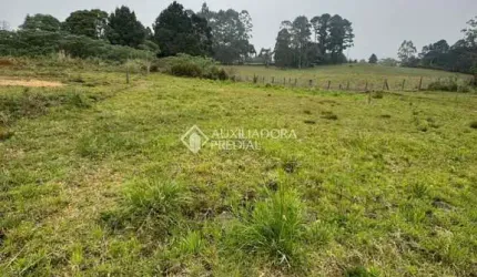 Terreno à venda na Giselda Pinto Dos Santos, 78, Cipó, São Francisco de Paula, 420 m2 por R$ 159.000