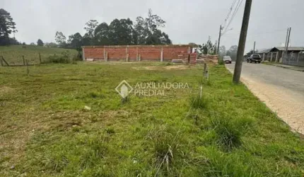 Terreno à venda na Giselda Pinto Dos Santos, 77, Cipó, São Francisco de Paula, 360 m2 por R$ 137.800