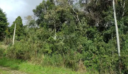 Terreno à venda na Mata Atlântica, 60, Alpes, São Francisco de Paula, 600 m2 por R$ 98.000