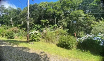 Terreno à venda na Guamirins, 85, Alpes, São Francisco de Paula, 600 m2 por R$ 140.000