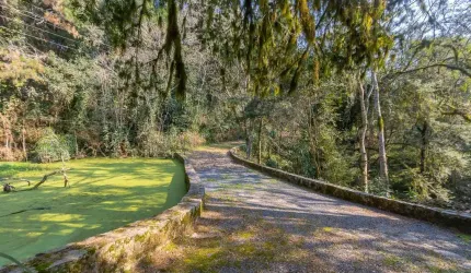 Chácara 62.550m² no Rondinha - Campo Largo