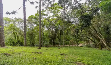 Terreno 745m2 rua sem saída Santa Felicidade