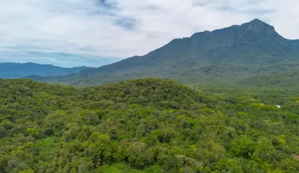 Chácara 81.756,00 m2 Porto de Cima