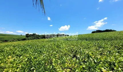 Chácara à venda Warta, Londrina - PR