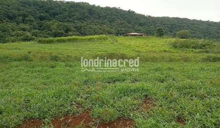 Chácara à venda 4 Quartos, 133100M², Zona Rural, Tamarana - PR