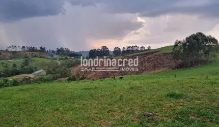 Chácara à venda 744000M², Zona Rural, Castro - PR