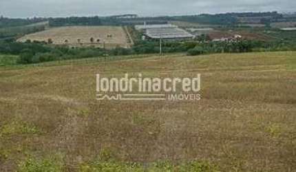 Chácara à venda 24200M², Zona Rural, Apucarana - PR