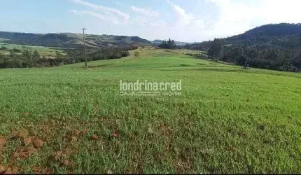 Chácara à venda 212960M², Zona Rural, Tamarana - PR
