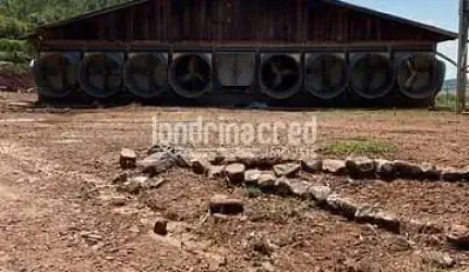 Chácara à venda Zona Rural, Tamarana - PR