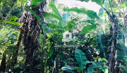 Terreno Piratininga