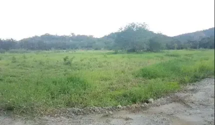 Terreno à venda, 3192.00 m2 por R$150000.00  - Zona Rural - Morretes/PR