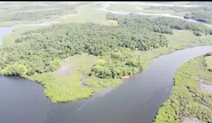 ILHA NO MUNICÍPIO DE CAMAMUM BAHIA,