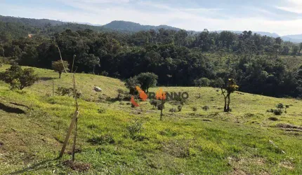 Fazenda Para Pecuária em São José dos Pinhais