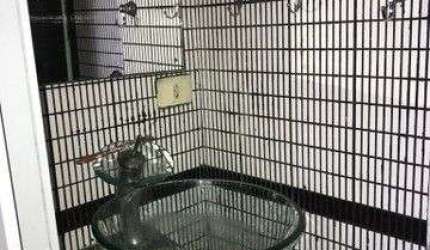 Kitnet com 1 dormitório à venda, 17 m² por R$ 80.000,00 - Itararé - São Vicente/SP