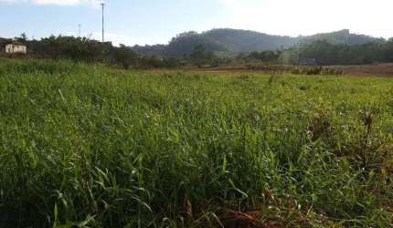 Área à venda, 72513 m² por R$ 20.000.000,00 - Itapocú - Araquari/SC