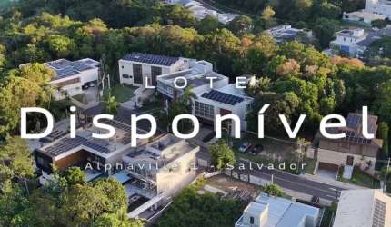 Lote Alphaville 1