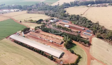 ÁREA RURAL A VENDA EM TOLEDO, DISTRITO DE NOVO SOBRADINHO, TOLEDO - PR