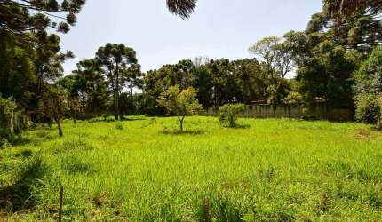 Terreno com 3.000 m² no Orleans