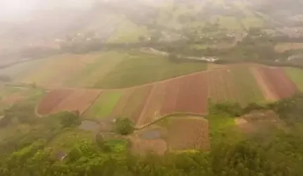 [114898] FAZENDA EM MAQUINÉ COM 81 HECTARES, CASARÃO, RIO, ESCRITURADA, TERRAS FÉRTEIS