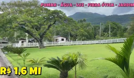 [113916 ] - CHACRINHA URBANA NO CENTRO DE MAQUINÉ   RS COM 2 956M², POMAR, FIBRA ÓTICA