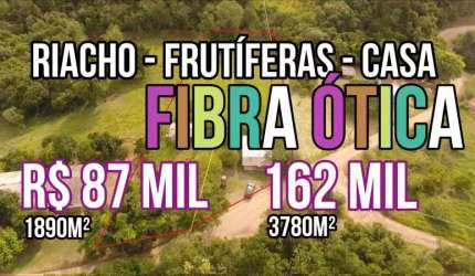 [117502]CHÁCARA COM CASA, RIACHO, FRUTÍFERAS , PASTO, 2 POÇOS ARTESIANOS EM TAQUARA
